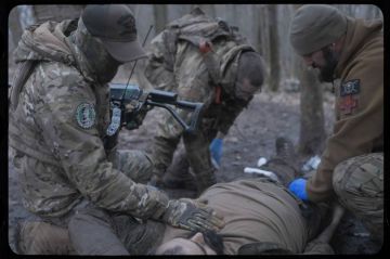 На днях написал товарищ. Один из тех, с кем нашлись за годы СВО