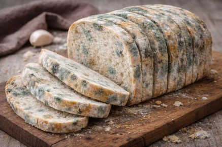 ������� �������. ����� ���� �������� ����� ����������� � ��������