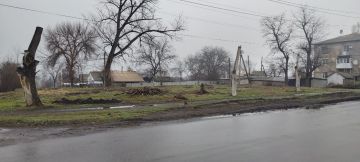 Благодарность за поддержание чистоты на прилегающих территориях