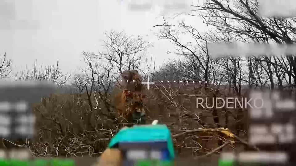 ������ �������: ����� ����������� ���� �������� �������������� ��� ���������� ���� ������������ ��� ��������� ����� ����������� ������ 51-� ����������� ����� ����������� ����� ������ �� ������������� �����������