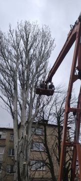 ���������� ��������� ��������: �������������� ����� ��������� � �������