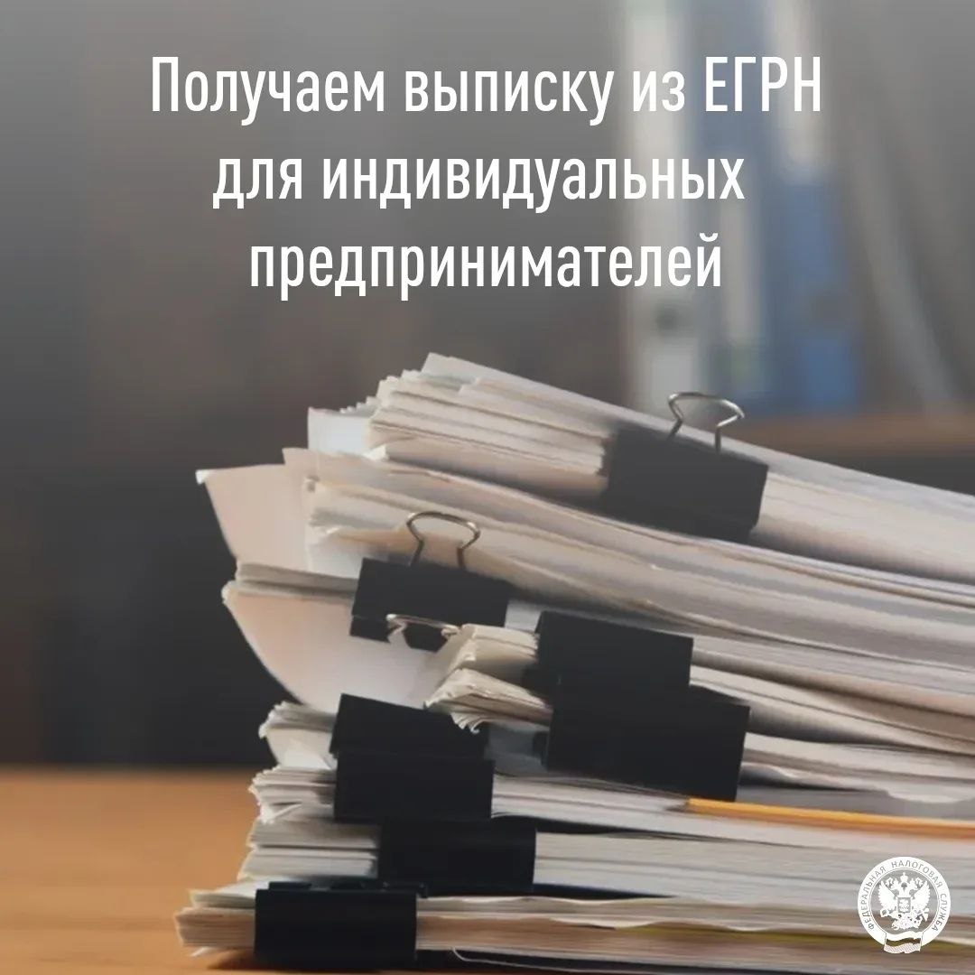 Получаем выписку из ЕГРН для индивидуальных предпринимателей