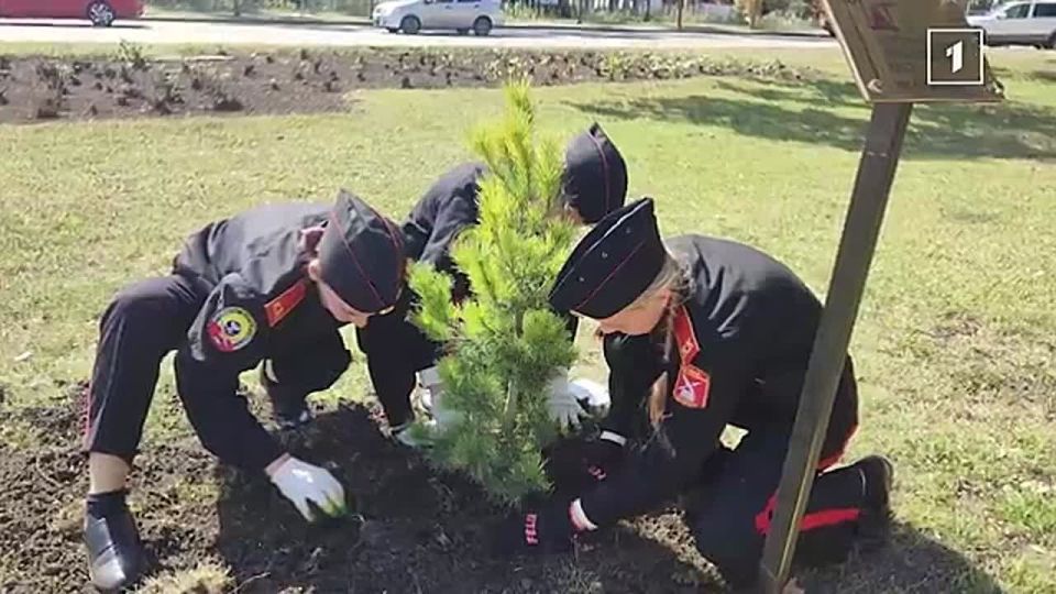 ��� �������!� � ���������� � ����������� � �������� ������� ���