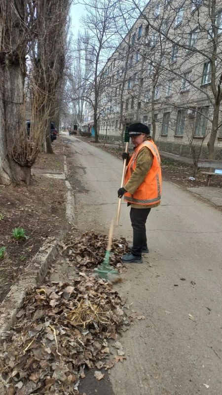 ������ ��������: � ������������ ������������ ������ �� ������ ���������� ����������