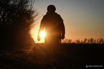 ������������, 28 �����: �� ������ ���������� �������� � ���