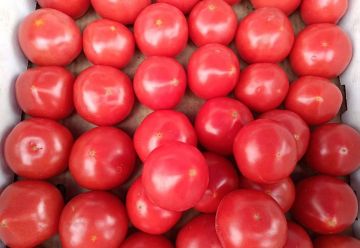 ������������� ������� � ������ ���������