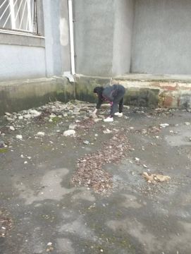 ������� ���������� ��� ����������� ��������� ������ ��������� ������� ������� � ��������������� ���������� �� ���������� ������ � ������ �������� ��. �. ������, ���� ������ �������, �������� � ������������ ������, ����� ����...