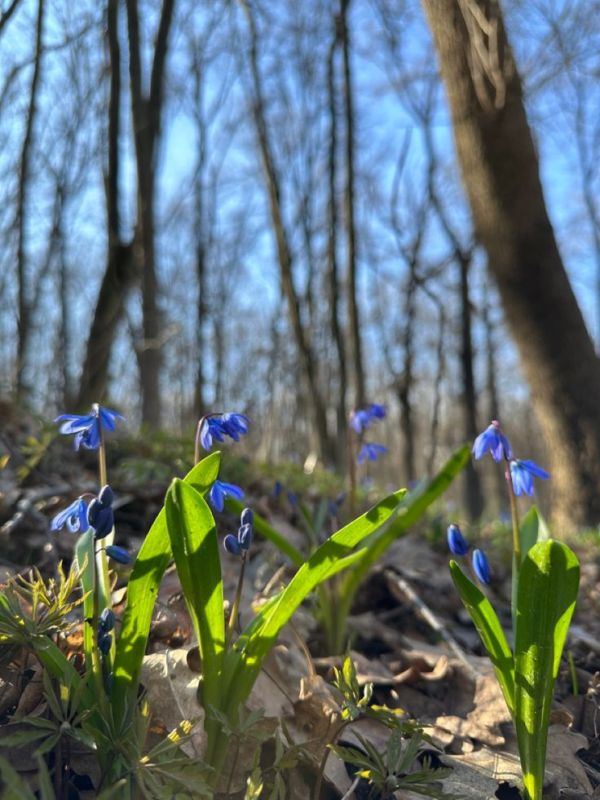 ������ ��������: ������������� ��������. 28 ����� � ���������� ���������� ����������, ��� ������������ �������