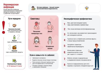 ������������ ������������ ��������