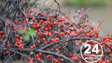 � ������ �����, ���������!