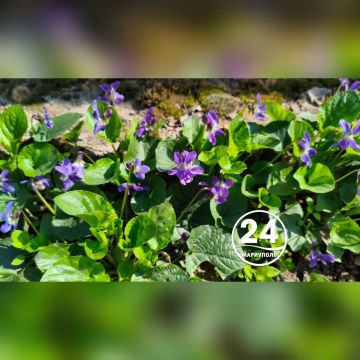 � ������ �����, ���������!