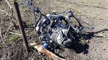 ���� ���������: ����������� ����� ��������