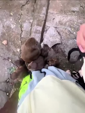 ������� ��� ������� ��������� ����� ���: