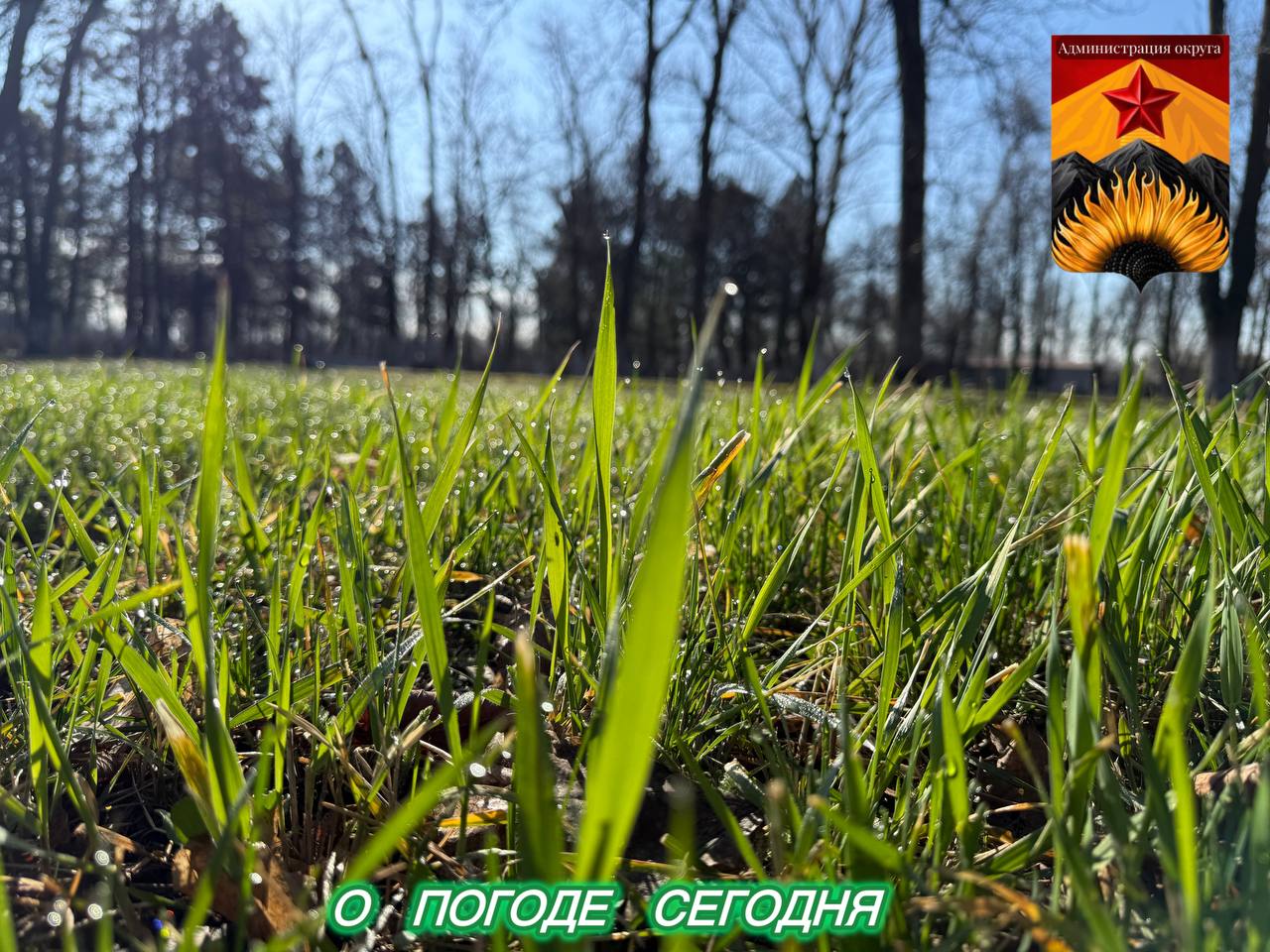 Александр Шатов: Гидрометцентр сообщил о погоде в Шахтерском округе