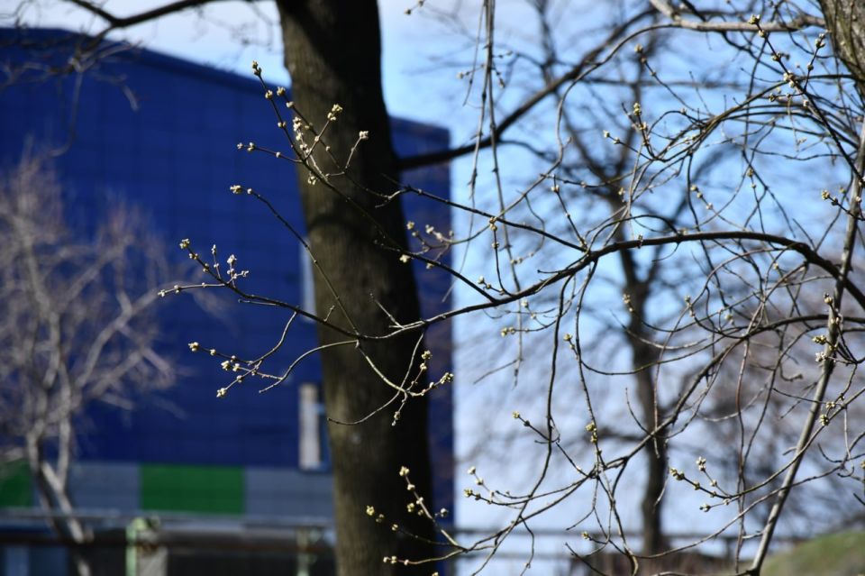 ������ ��������: ������������� ��������. 29 ����� � ���������� ���������� ����������, ����� ��� �������, ���� ������� ��������� �����