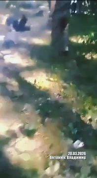 Александр Сладков: Канал «Украина пропадает без вести»