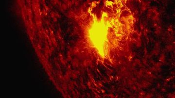 ������ ������������� ������� ����������� ������ �� ������