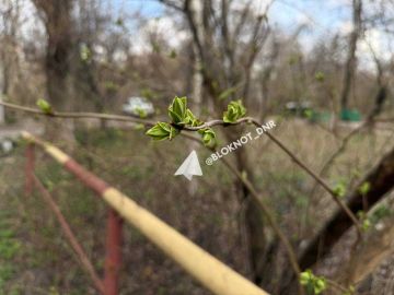 ���� �� ���� �� ����������� �� ���������, �������: