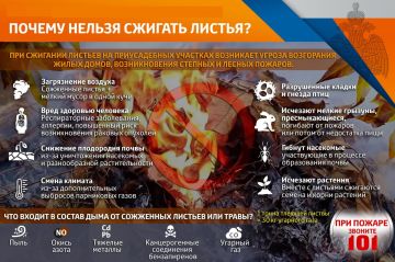 �������� ��� ����� � ���� �� ������� ������ ���������� ������ ������� � ���������� � ����� �������