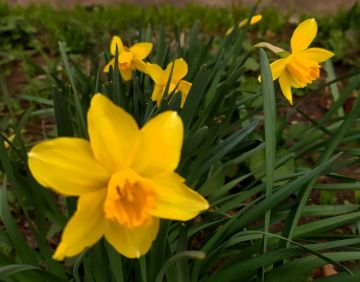 ������ ���� ������������ ������� ������ � �������� ���!