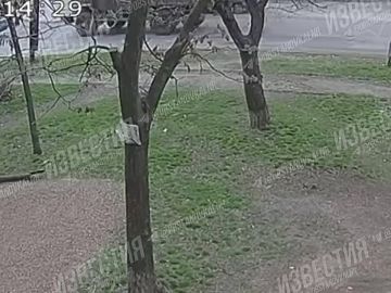 Ƹ����� ����������� ��� ��������� ������� � ������� � �������� ������ � ����� �� �����������