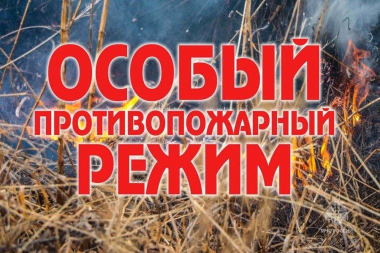 ������������� ���������� ������ �������� �������� �������� ���������� ����������� ���������, ��� �������� ������������� ������������� �������� �������� ���������� �� 5 ����� 2026 �. � 15-3 ��� ����������� �������� ����������...