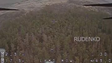 ������ �������: ������� ����� ����������� ������ �������� ����������� ����� ������ ���������� ������������ � ������ FPV-������ ��� �� ������������� �����������