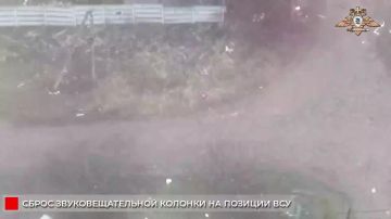 Группа военнослужащих ВСУ из состава 100 бригады сдалась в районе Константиновки