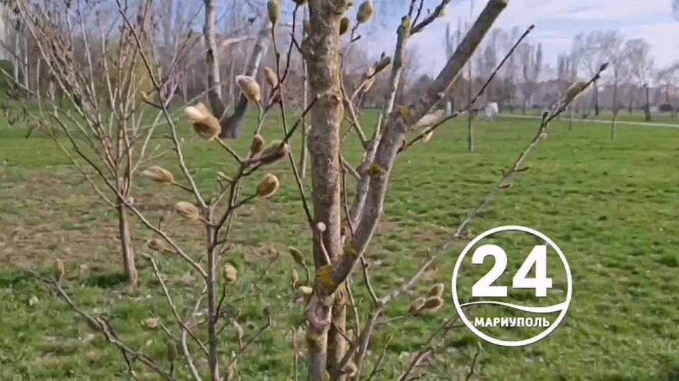 ������� ����� ��������� ���� �����