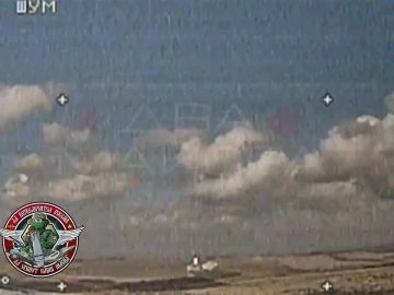 ��� ������: ���: �������, �����������, ������������