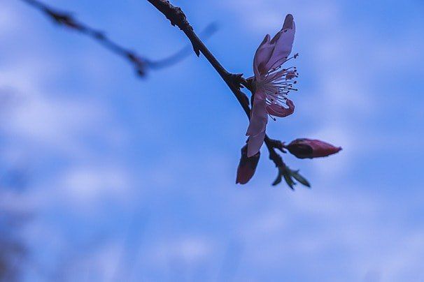 ������ ��������: ������������� ��������. 31 ����� � ���������� ������������ ������, ��� �������