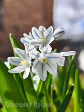 ����� �������� �������� � ���� �����: ������ �������� ������� ��� ������������ ���� �����