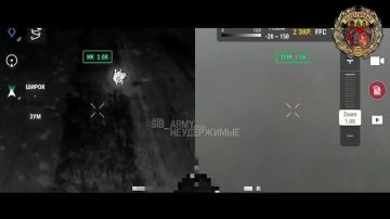 ����� ������ �� 225 ���������� ����� ������ ������ ������� � ���������� � ������� (���������� �����������)