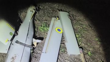 ���������� ���� RAM-2X, ������ "������� ��������" ���������� �� ����������������� � ������������ �.�