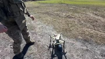 "����������� �� �������" � �������, ������� ��������������� ��� ��� ���������� ��������� ���� ����� �����