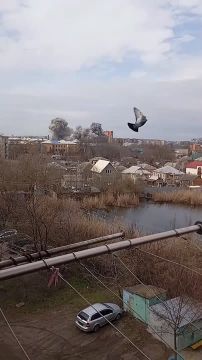 ������� ���������: �� ���� ����������� ������ � ��������� ����� �� ������ ��������� ��� � ������� ���������� ���������� �� �����������