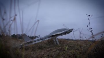 Войска беспилотных систем Вооружённых сил Российской Федерации