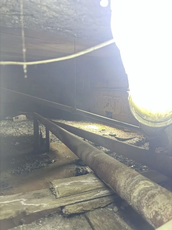 ��������� ������� ����������� ������� ������� ������������ ���������������� ���� � ��������