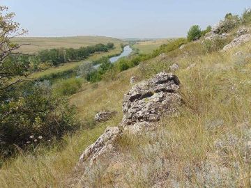 В Донецкой Народной Республике оценили состояние ООПТ