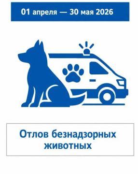 Уважаемые снежнянцы!. С 01 апреля по 30 мая 2026 года на территории городского округа Снежное будет производиться отлов бродячих собак