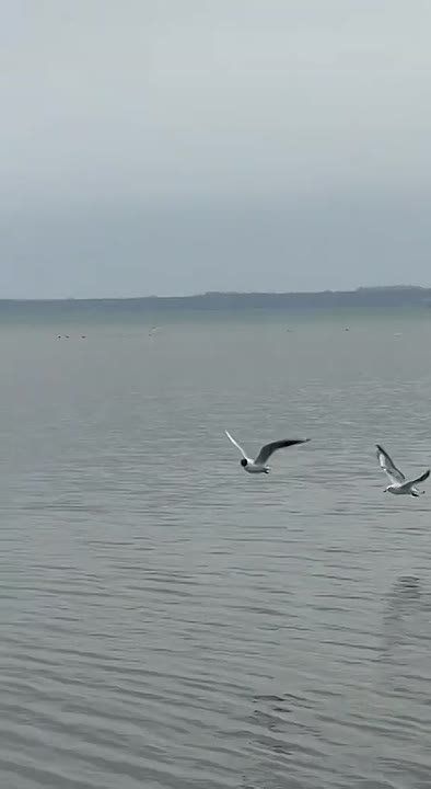 ����� �� ��������� ������ ������ ������� � ������ ����� �� ��������, ��� ������� �� ����������� ��� �������������� ������ �������� � ��������� �� ����������� ������ � ����������� ������ ��������