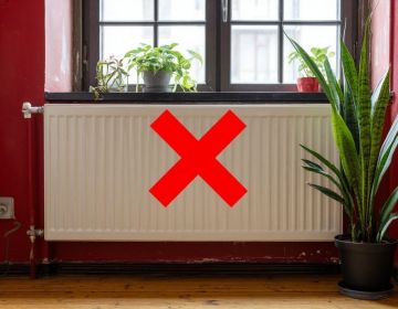 � 1 ������ � � ������, � 6 ������ � � �����: � ������� ����������� ������������ �����