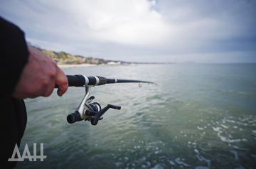 �������� � ��������� � ���������� ������ ��-�����������