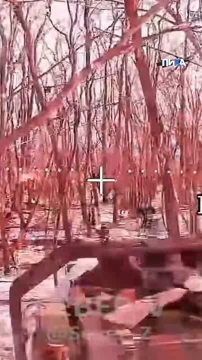 �������� ������ ��� ����� ������� "�����-V" ���������������� ������� ������������� ��������� �������� ��� ������� ������ �������������