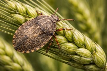 ������� ��������� � �� ������: �������� ������������ �� ��������� ��� �������