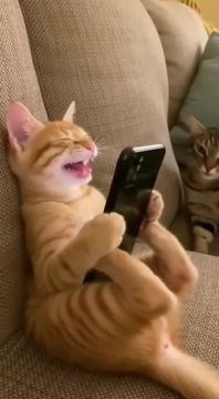 ���������. � �������� ������ ��������-������ ��������� ����: