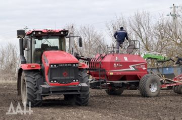 ВТБ: объем льготного кредитования сельхозпроизводителей среднего и малого бизнеса вырос на 9%