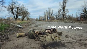 �������� ( ��������� ). ����� ���, ����� 2026