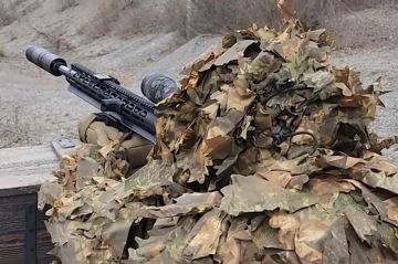 ���� �������� ������� ���� ����� � ���