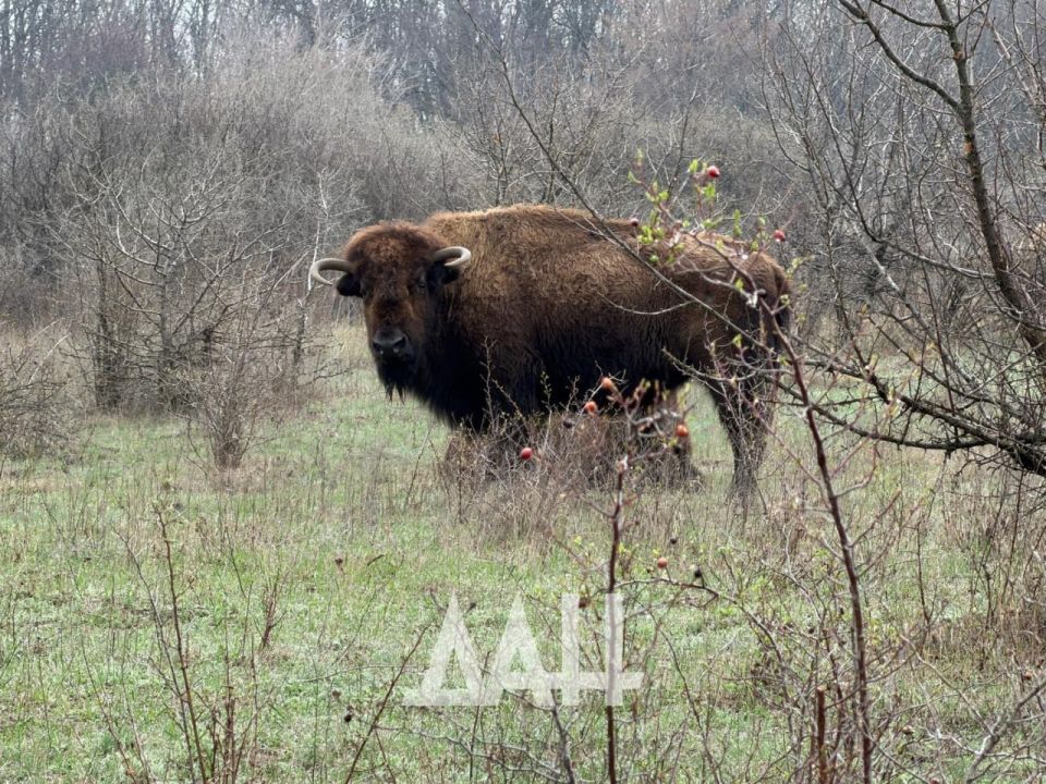 ������ ������������ ������ ��������� �������� ����-������